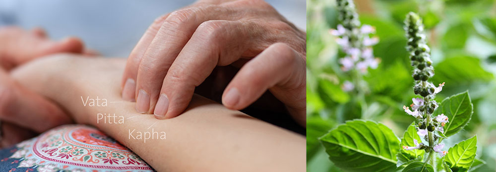 header-ausbildung-ayurvedische-pulsdiagnose-und-maharishi-ayurveda-phytotherapie-fuer-aerzte-undmedizinische-heilberufe-heilpraktiker-neues-foto__TABLET-und-MOBILE