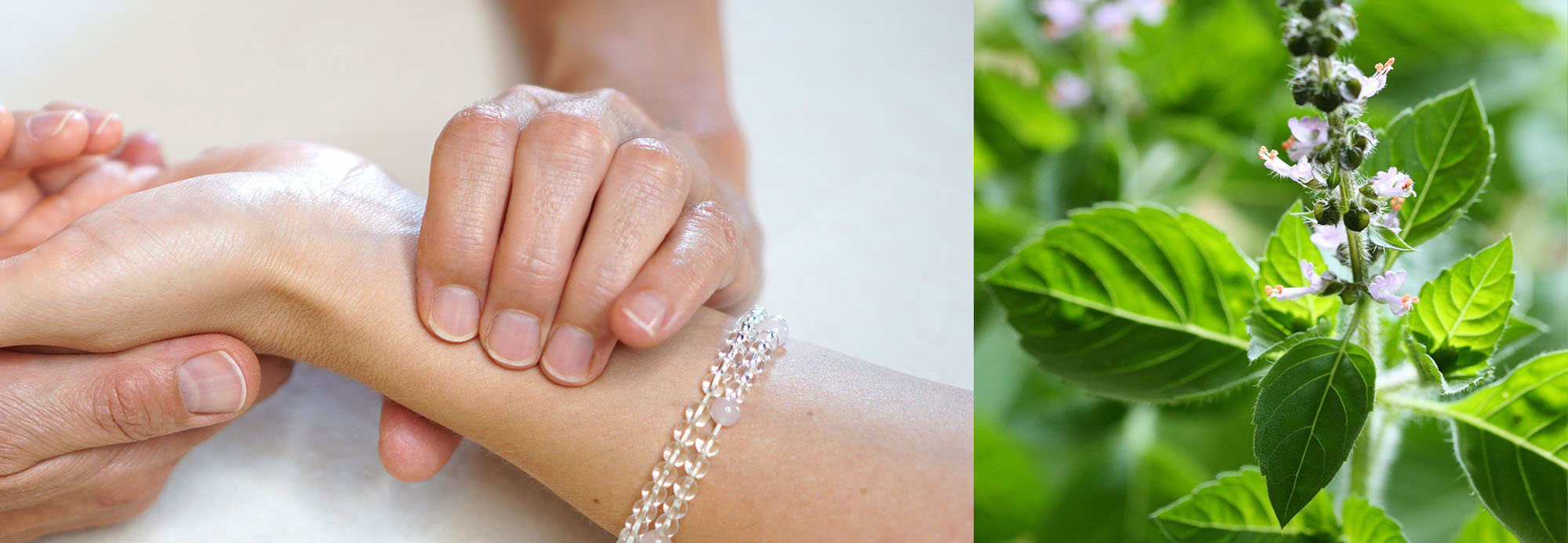 header-ausbildung-ayurvedische-pulsdiagnose-und-maharishi-ayurveda-phytotherapie-fuer-aerzte-undmedizinische-heilberufe-heilpraktiker-neues-foto__DESKTOP 3 Kopie