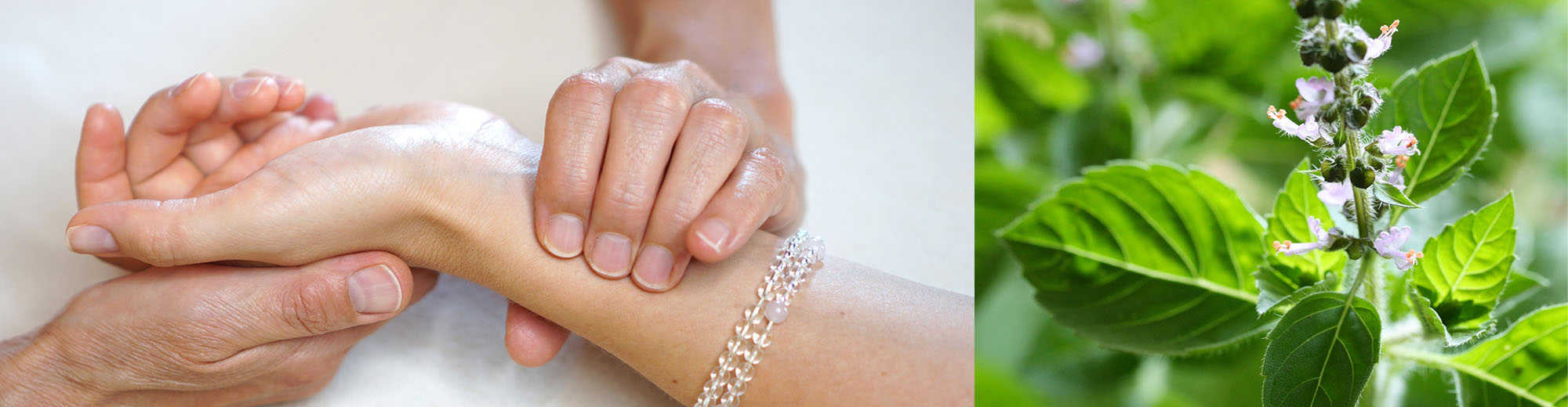 header-ausbildung-ayurvedische-pulsdiagnose-und-maharishi-ayurveda-phytotherapie-fuer-aerzte-undmedizinische-heilberufe-heilpraktiker-neues-foto__DESKTOP